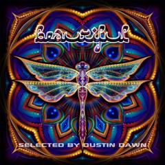 Dustin Dawn - Beautiful 2