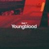 5 Seconds Of Summer Youngblood Niall T Remix Mp3