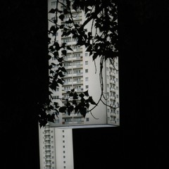 Repairing Dreams / Field Recordings-Beat