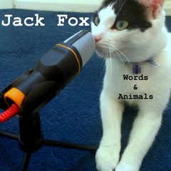 I Feel Amazing (feat. Reali T)