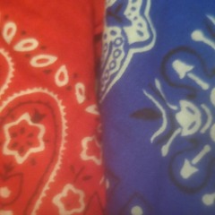 Grippastack x Pro StatiC "staCk"