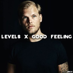Avicii ft. Flo Rida- Levels X Good Feeling