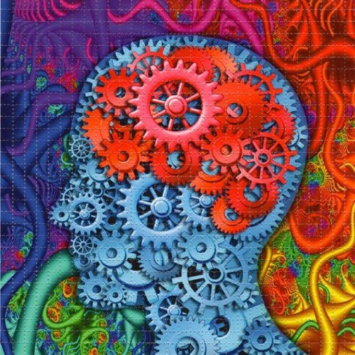 Bardo - Mental Confusiohm