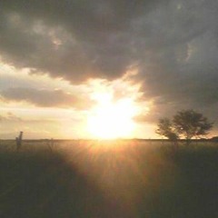 Petricor 1 - Intro (after the rain)