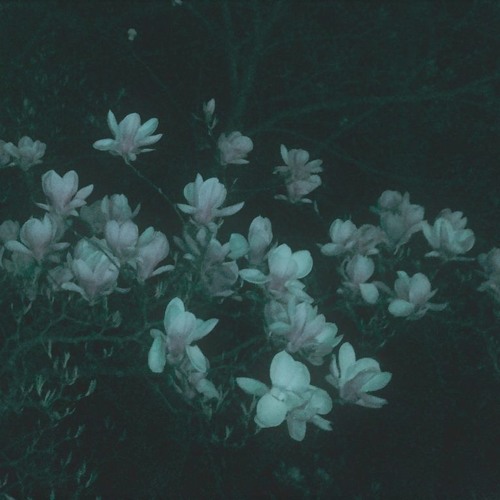 link to time