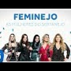 Mix Sertanejo 2018