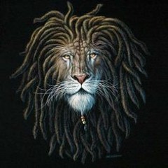 "Dreadlockin Lions" FREESTYLE (Prod. Robb Johnson)