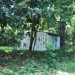 alex g - serpent is lord (slowed + reverb)