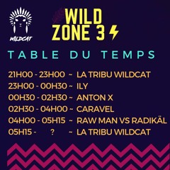 Caravel @ Wildzone #3 by Wildcat (Acid Techno Set)