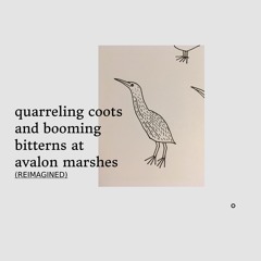 Abby Lee Tee - Quarreling Coots And Booming Bitterns at Avalon Marshes (reimagined)