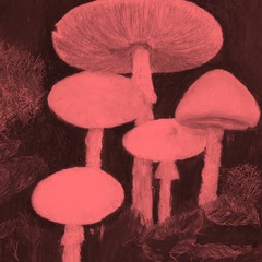 DIRT OF LOVE (digest)