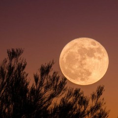 Is the moon really made of cheese?