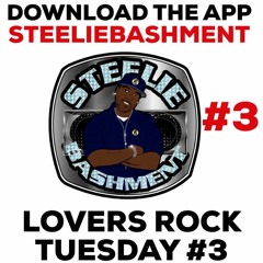 steeliebashment