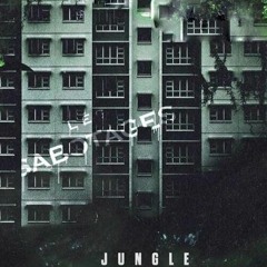 MellemFingaMuzik - Jungle (Original)