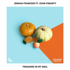 Joshua Francois - Treasure In My Soul (ft. Evan Fogarty)🍉