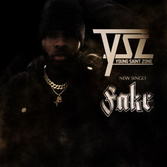 Fake - Radio Version