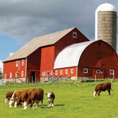 On The Farm [Buy = Spotify link]