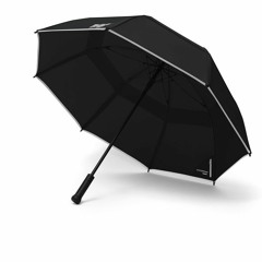 Whatever You Say (Demo)