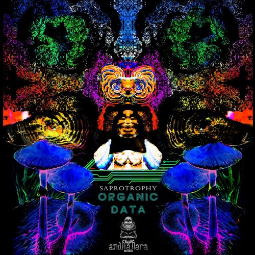 Saprotrophy - 170 Plantae  - Soon Organic Data EP