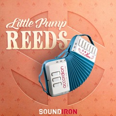 Shaun Chasin - Coffee Shop Love Story (Dressed) - Soundiron Little Pump Reeds