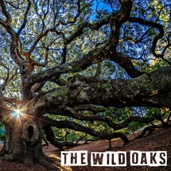 'Freedom' by The Wild Oaks