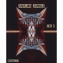 Analog Jungle Vol.II