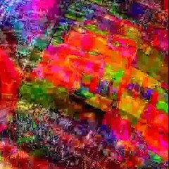 Beautiful Garden - AAAH YEAH Remix Mix3