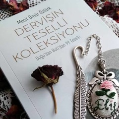 Dervişin Teselli Koleksiyonu