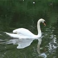 the flame is vexed when their moist hearts come near the fire