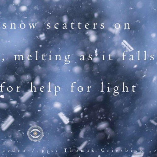 halF snoW [naviarhaiku256]