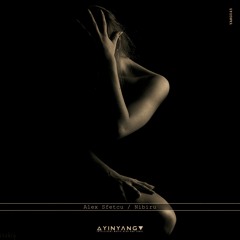 Premiere: Alex Sfetcu - Timelapse [YINYANG]