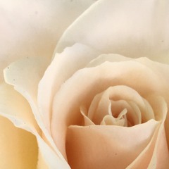 HiTRezPlzNoSueKthxbyeee