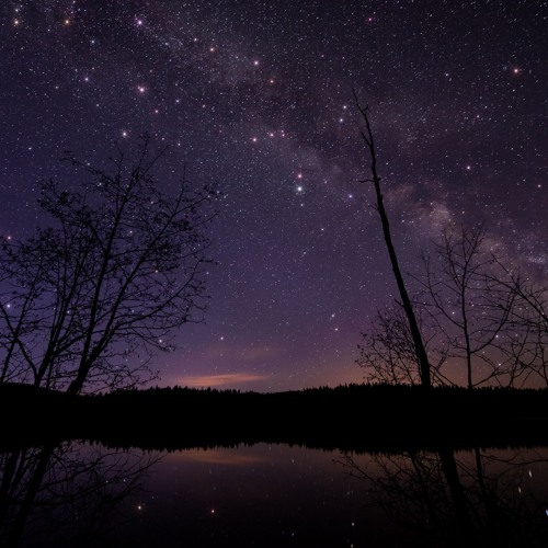 Still of the Night