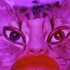 What can you believe in ?