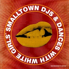 Smalltown DJs & Dances With White Girls - Bad Behaviour feat. SkiiTour