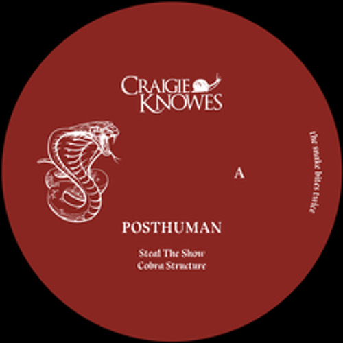 Premiere: Posthuman 'Cobra Structure'