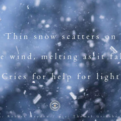 It's snowing (Naviarhaiku 256 )