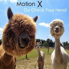 Motion X - Go Check Your Head