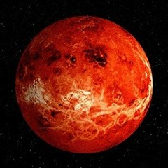ElonMars