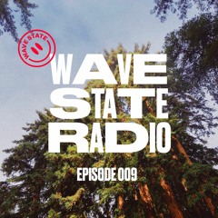 Wave State Radio 009