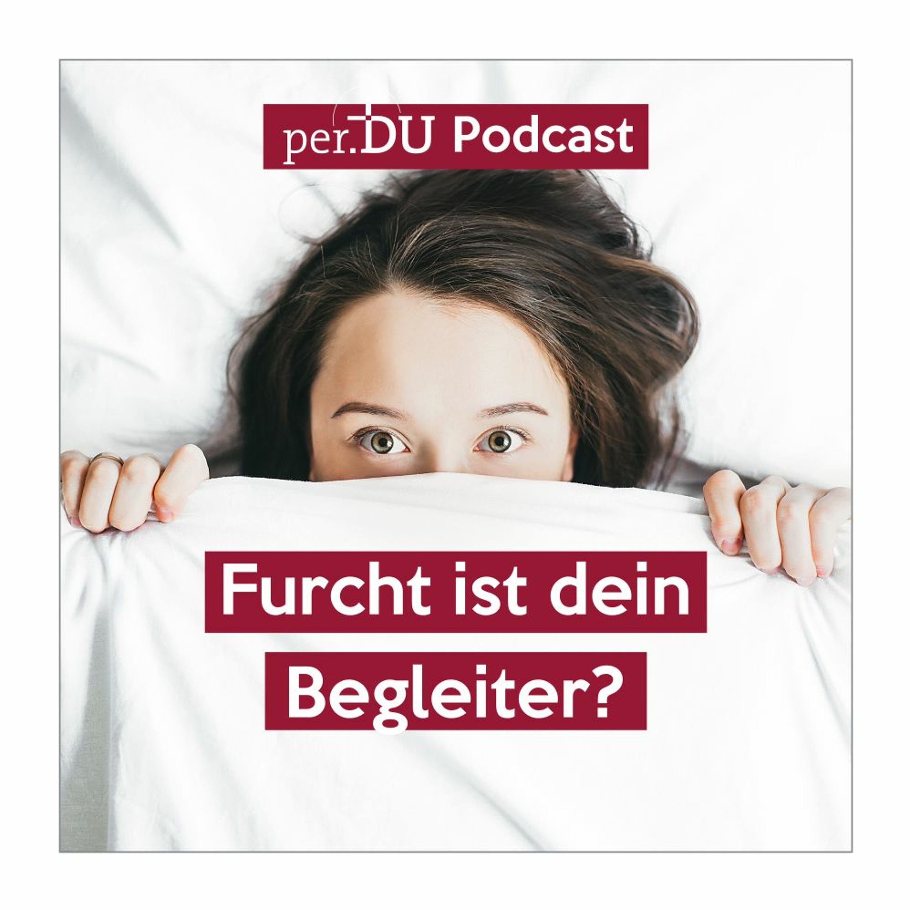 Furcht ist dein Begleiter? - Richtige Ehrfurcht & Achtung vor meinen Mitmenschen erlernen - T. Neuer episode artwork