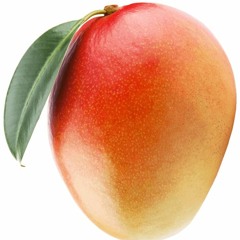 Under the Sleeper's Spell