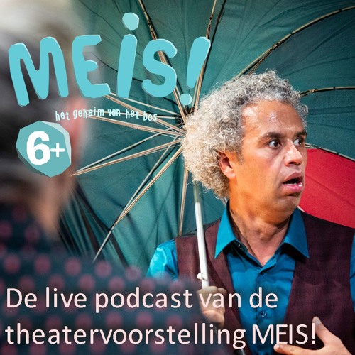 MEIS podcast