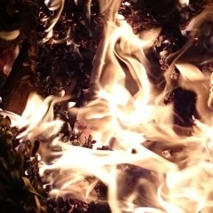 Hör auf dein Bauchgefühl