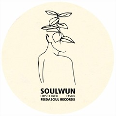 PREMIERE: Soul Wun - I Wish I Knew [Feedasoul]