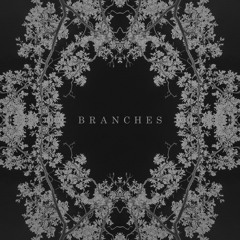 AK - Branches