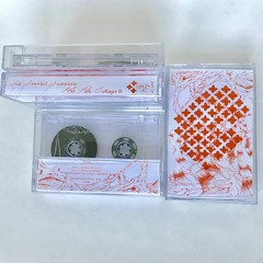 "Collages II [excerpt]" by Max Park for Oma333