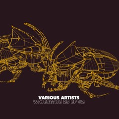 Kintar & BOg - Tribelune