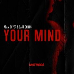 Adam Beyer & Bart Skils - Your Mind (Matroda Remix)