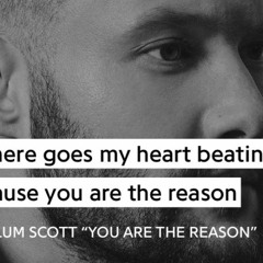 You Are The Reason Cover